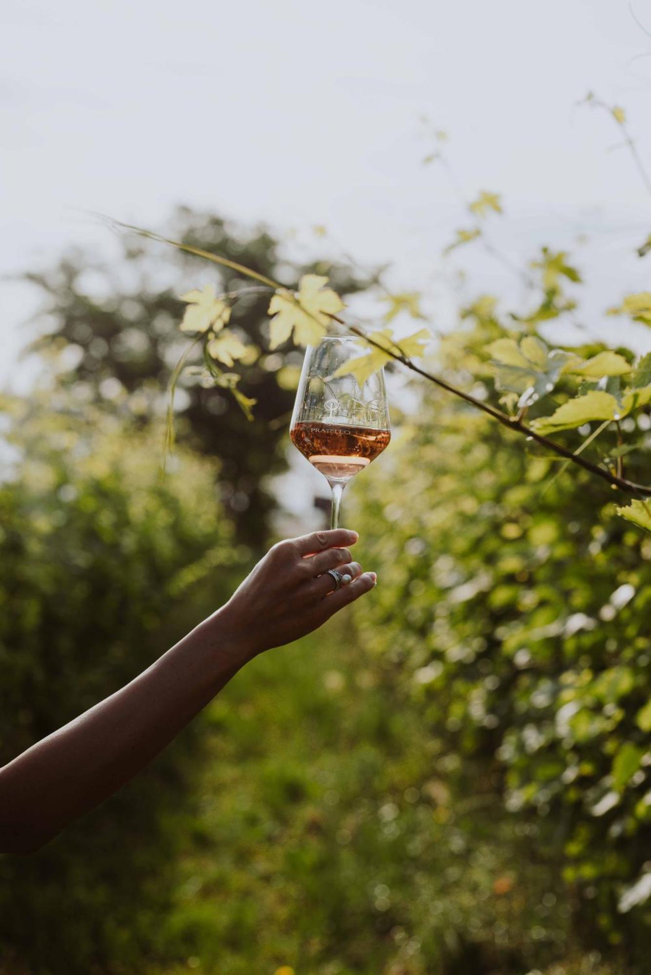 Agriturismo Pratello 파뎅게술가르다 외부 사진